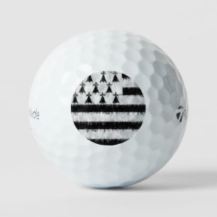 Brittany Oil Painting Drawing Golfball