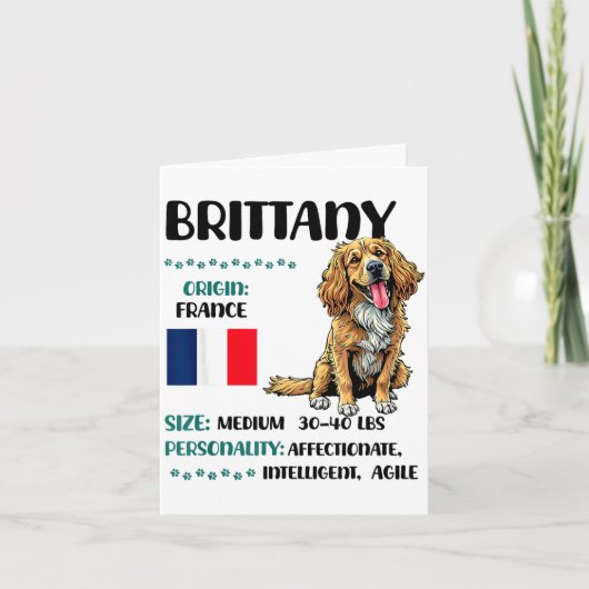 Brittany Origin Funny Brittany Dog Lover Karte (Vorderseite)