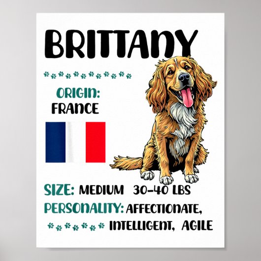 Brittany Origin Funny Brittany Dog Lover Poster (Vorne)