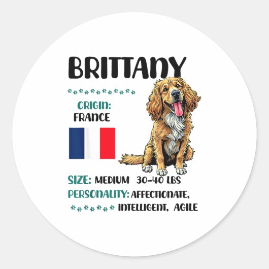 Brittany Origin Funny Brittany Dog Lover  Runder Aufkleber (Vorderseite)