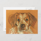 Brittany Postcard Postkarte (Vorne/Hinten)