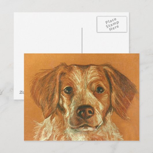 Brittany Postcard Postkarte (Vorne/Hinten)