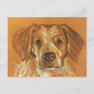 Brittany Postcard Postkarte