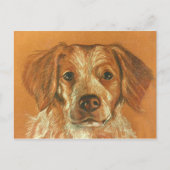 Brittany Postcard Postkarte (Vorderseite)