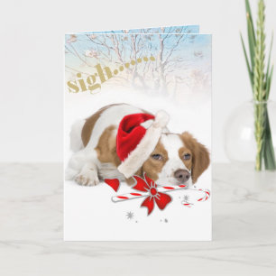 Brittany Santa nimmt so lange Karten