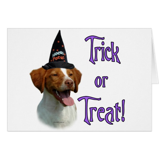 Brittany Spanel Trick (Vorderseite (Horizontal))