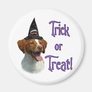 Brittany Spanel Trick Magnet