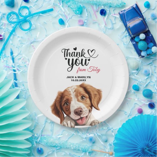 Brittany Spanel Wedding Vielen Dank Pappteller (Party)