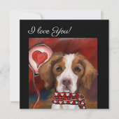Brittany Spaniel (Vorderseite)