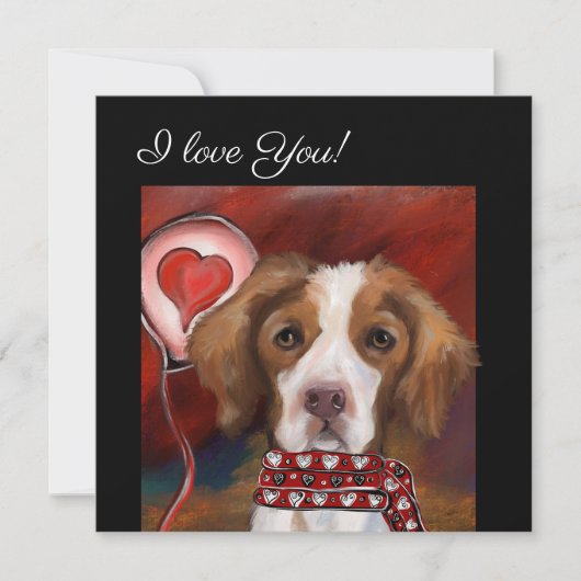 Brittany Spaniel (Vorderseite)
