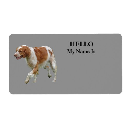 Brittany Spaniel (Vorne)