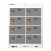 Brittany Spaniel (Vorne)