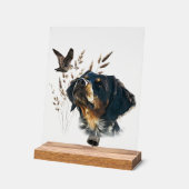 Brittany Spaniel Acrylschild (Winkel)