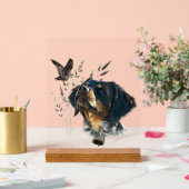 Brittany Spaniel Acrylschild (Hochzeit)