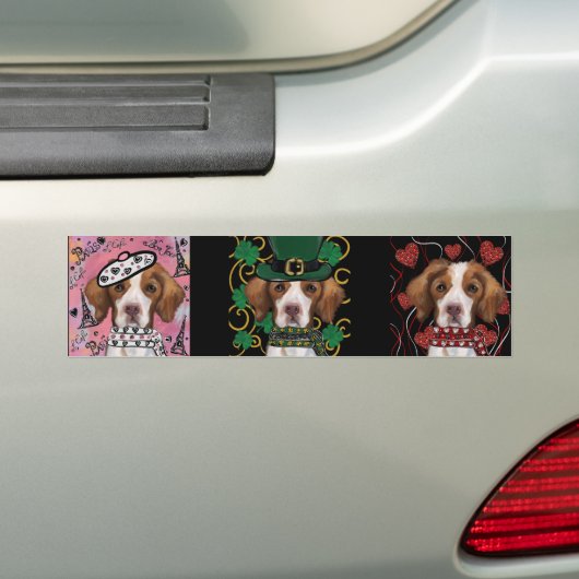 Brittany Spaniel Autoaufkleber (Auf Auto)