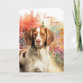 Brittany Spaniel Dog Colorful Garden Path Get Well Karte