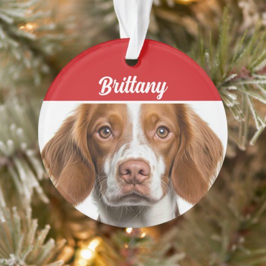 Brittany Spaniel Dog Holiday Foto Weihnachten Ornament (Baum)