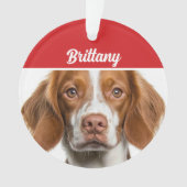 Brittany Spaniel Dog Holiday Foto Weihnachten Ornament (Vorderseite)