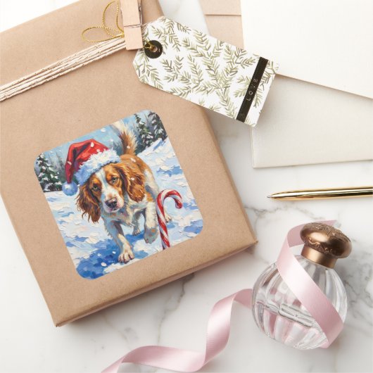 Brittany Spaniel Dog Pointing at Christmas Candy Quadratischer Aufkleber (Schenken)