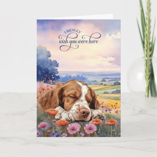Brittany Spaniel Dog Wildflowers Miss You Karte (Vorderseite)