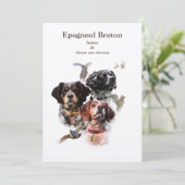 Brittany Spaniel Einladung (Stehend Vorderseite)