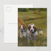 Brittany Spaniel Einladungspostkarte (Vorne/Hinten)