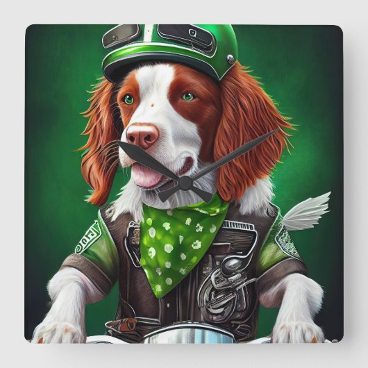 Brittany Spaniel Fahrrad St. Patrick's Day Quadratische Wanduhr (Vorderseite)