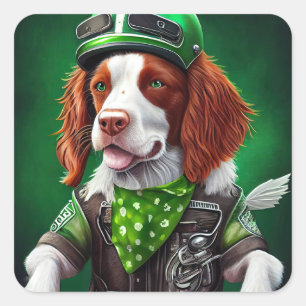 Brittany Spaniel Fahrrad St. Patrick's Day Quadratischer Aufkleber