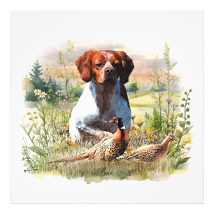 Brittany Spaniel – Feld, Fokus, Fasan, Kunst Fotodruck