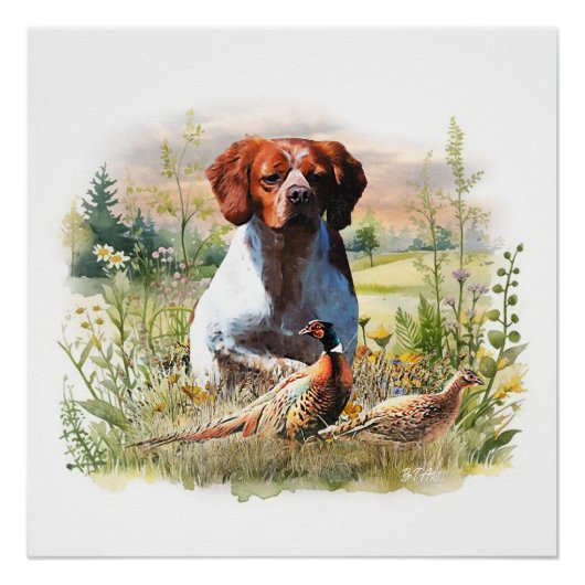 Brittany Spaniel – Feld, Fokus, Fasan, Kunst Poster (Vorderseite)