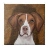 Brittany Spaniel Fliese (Vorderseite)