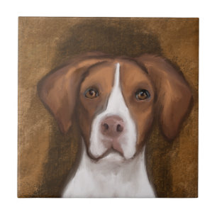 Brittany Spaniel Fliese