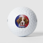 Brittany Spaniel Golfball (Vorderseite)