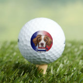 Brittany Spaniel Golfball (Insitu T-Shirt)