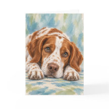 Brittany Spaniel Greeting Card