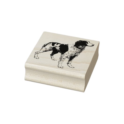 Brittany Spaniel Gummistempel (Stempel)