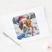 Brittany Spaniel Hund zeigt auf Weihnachtsbonbon Quadratischer Aufkleber (Umschlag)
