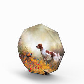 Brittany Spaniel, Jagdparasant Fotoblock (Rechts)