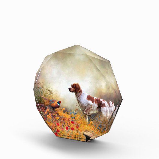 Brittany Spaniel, Jagdparasant Fotoblock (Rechts)