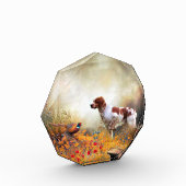 Brittany Spaniel, Jagdparasant Fotoblock (Links)