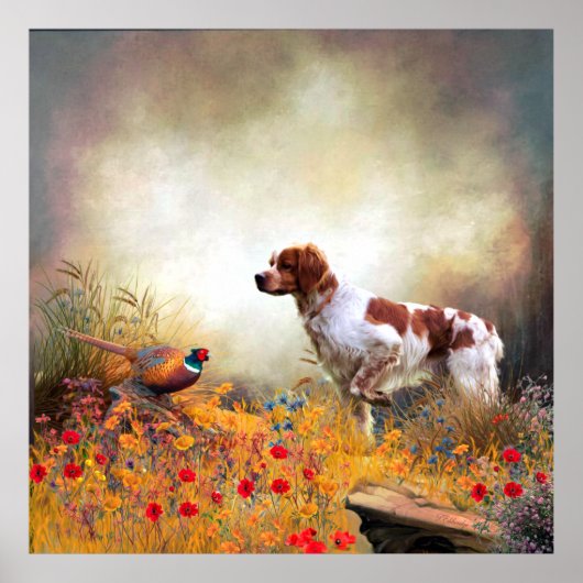 Brittany Spaniel, Jagdparasant Poster (Vorne)