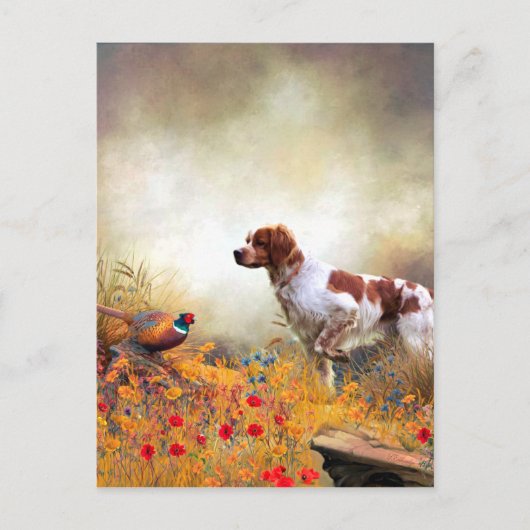 Brittany Spaniel, Jagdparasant Postkarte (Vorderseite)