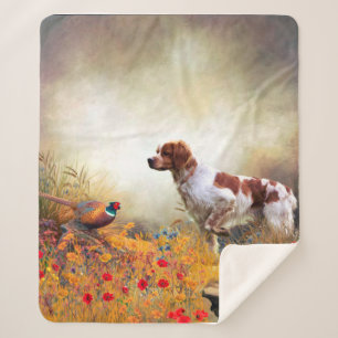 Brittany Spaniel, Jagdparasant     Sherpadecke