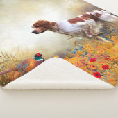 Brittany Spaniel, Jagdparasant Sherpadecke (3/4)