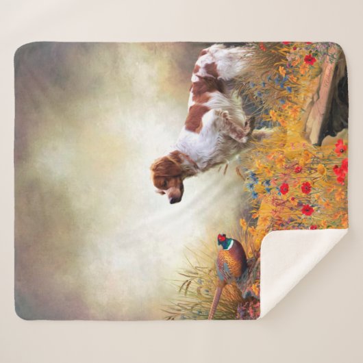 Brittany Spaniel, Jagdparasant Sherpadecke (Vorderseite (Horizontal))