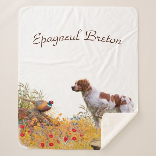 Brittany Spaniel, Jagdparasant Sherpadecke (Vorderseite)