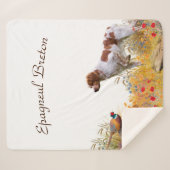 Brittany Spaniel, Jagdparasant Sherpadecke (Vorderseite (Horizontal))