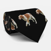 Brittany Spaniel Krawatte (Gerollt)
