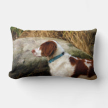 Brittany Spaniel - Kupfer