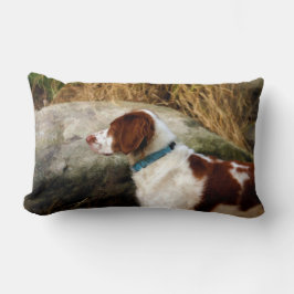 Brittany Spaniel - Kupfer Lendenkissen
